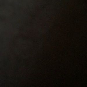 Meet your Posher, Bobby